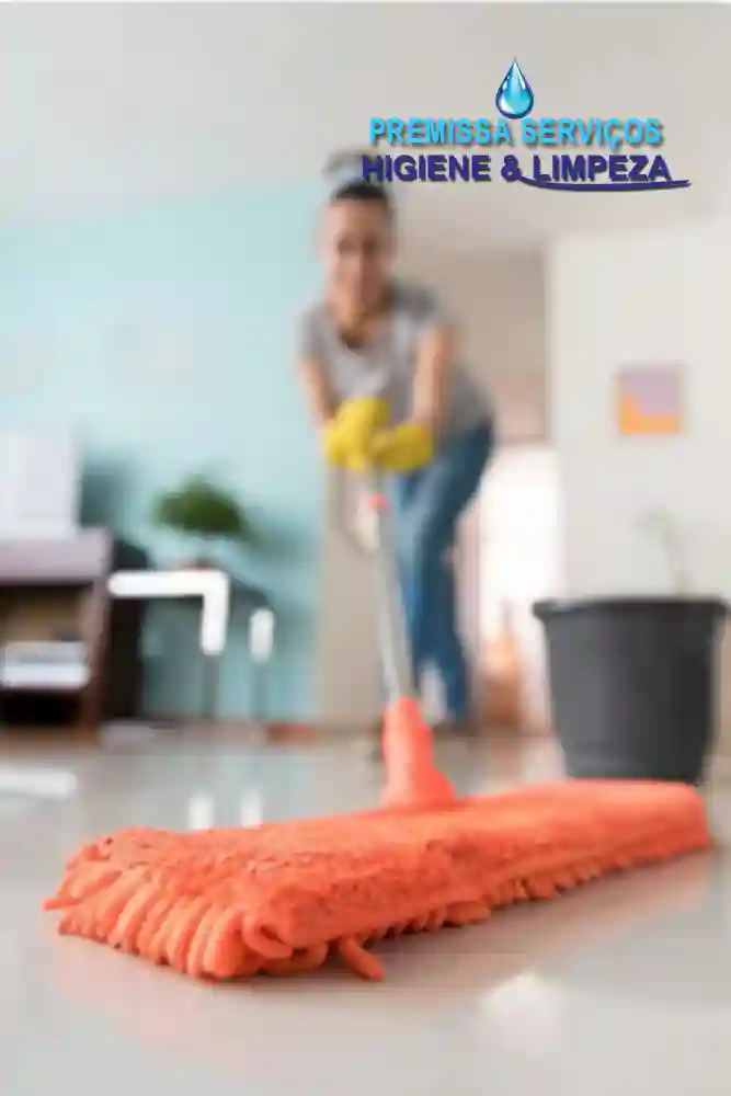 domestic cleaning, domestic cleaning service, domestic cleaning Lisbon, domestic cleaning company